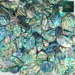 Abalone Shell Flat Back Cabochons – Wholesale Lots for Jewelry Making & Inlay