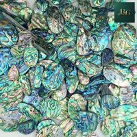 Abalone Shell Flat Back Cabochons – Wholesale Lots for Jewelry Making & Inlay