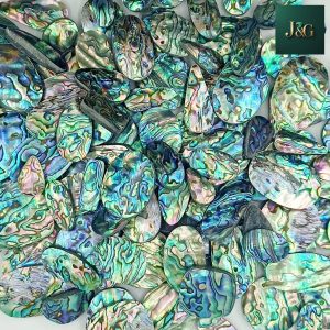 Abalone Shell Flat Back Cabochons – Wholesale Lots for Jewelry Making & Inlay