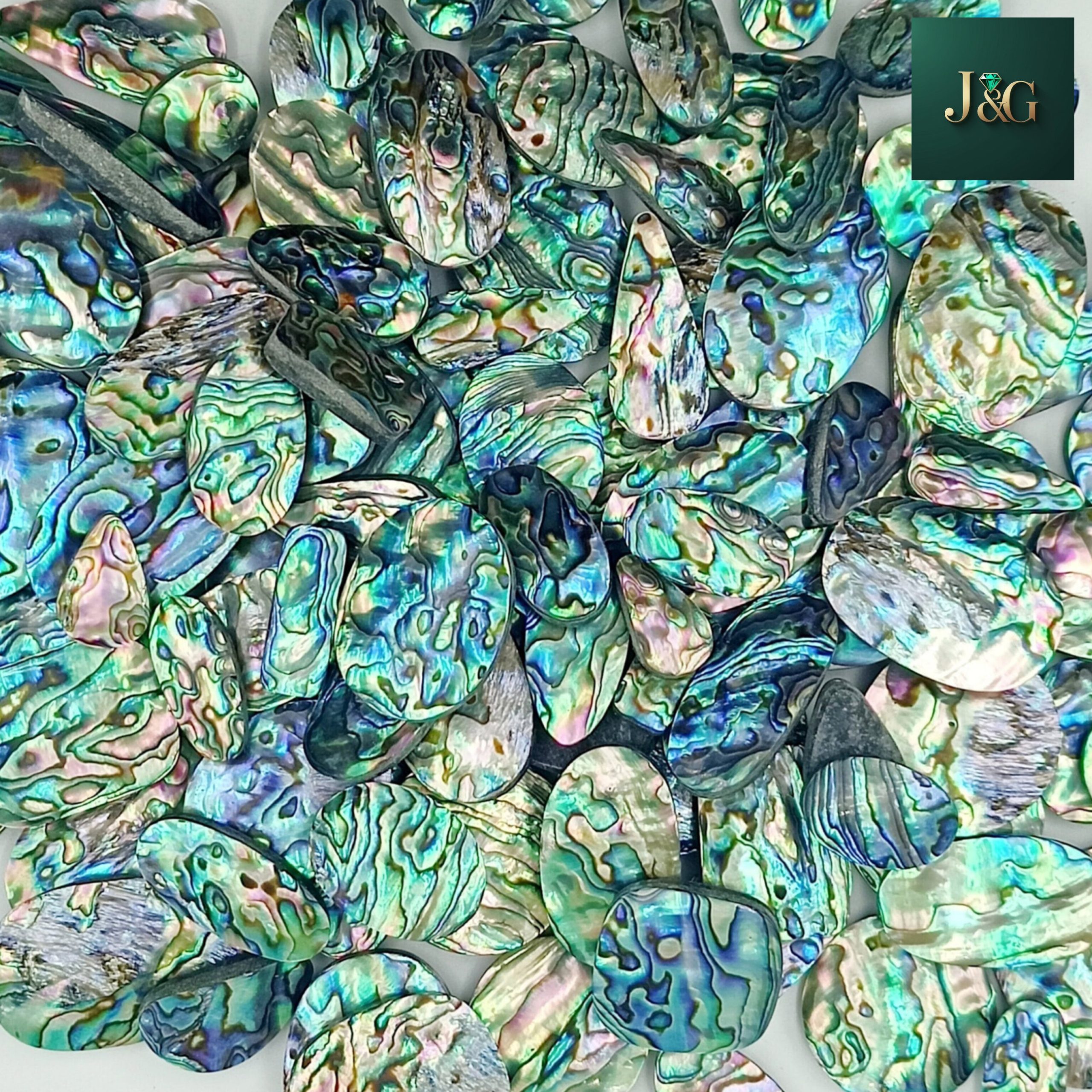 Abalone Shell Flat Back Cabochons – Wholesale Lots for Jewelry Making & Inlay