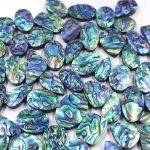 Abalone Shell Flat Back Cabochons – Wholesale Lots for Jewelry Making & Inlay