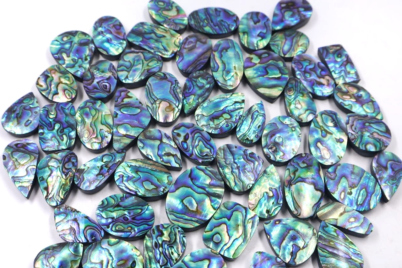 Abalone Shell Flat Back Cabochons – Wholesale Lots for Jewelry Making & Inlay